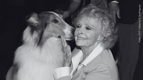 A sus 100 años, fallece June Lockhart, actriz de Gray's Anatomy y Lassie.