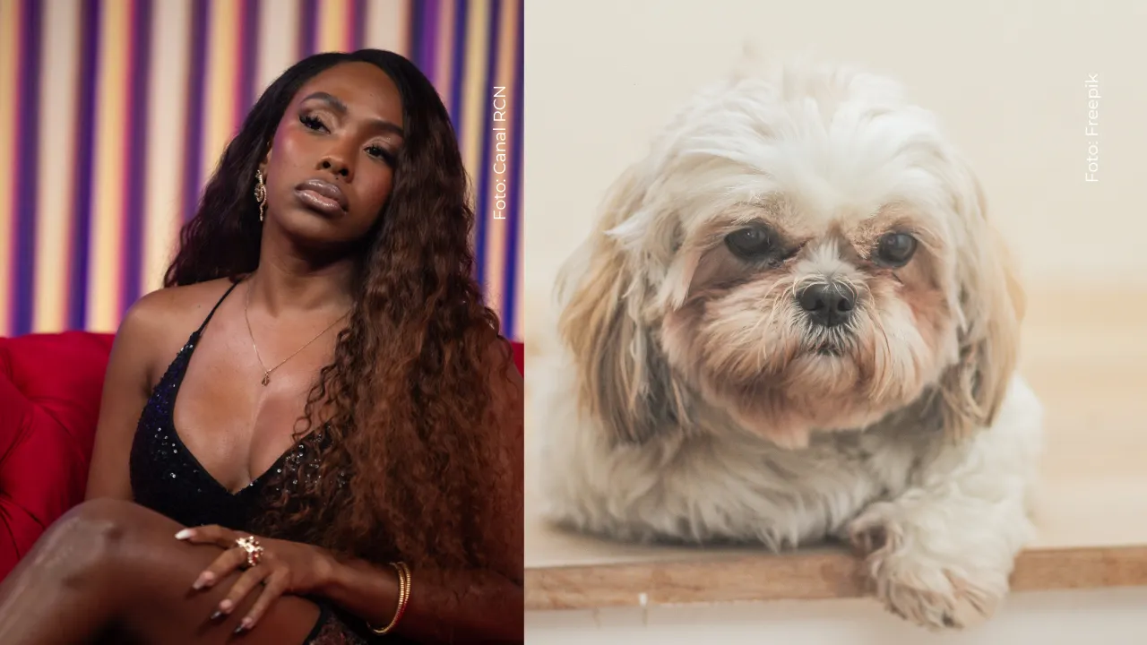 Karen Sevillano y el curioso relato sobre el supuesto embarazo de su perrita