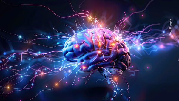 La ciencia logra lo imposible: así luce el alucinante primer atlas del cerebro humano