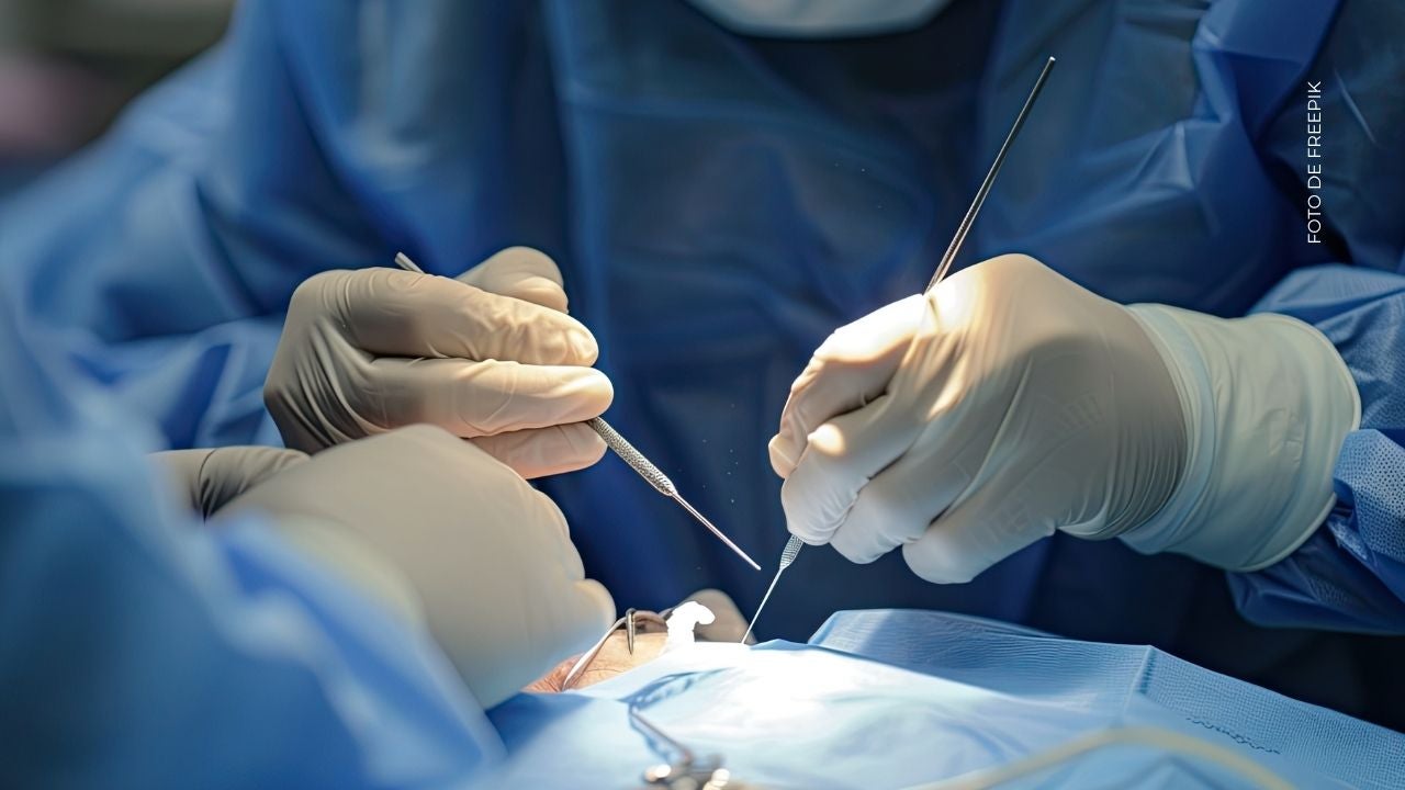 ¿Qué procedimientos estéticos se ha realizado La Segura?