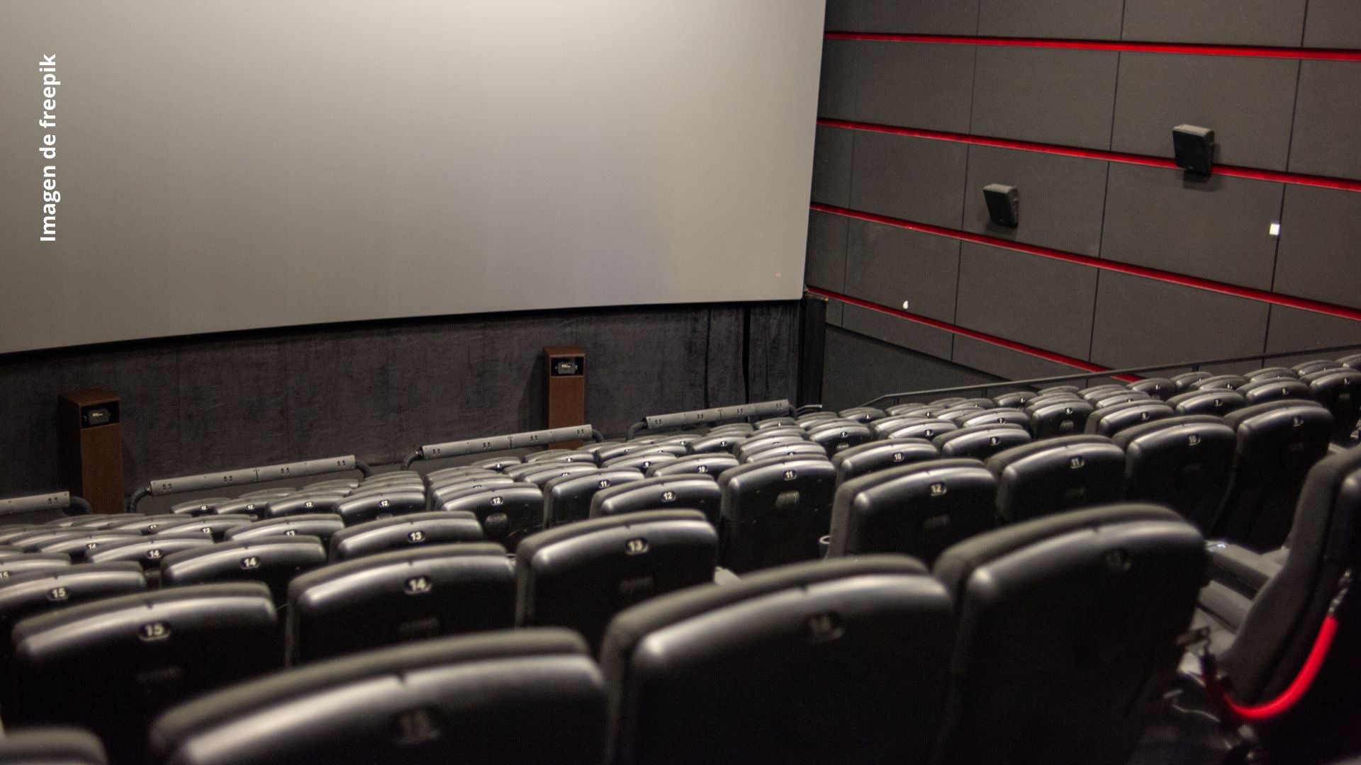 PERFECT BLUE regresará a los cines del país 