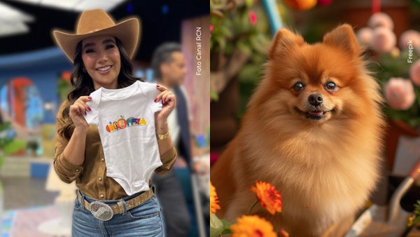 Paola Jara conmueve al contar lo que vivió con sus perros previo a tener a Emilia Paola Jara conmueve al contar lo que vivió con sus perros previo a tener a Emilia