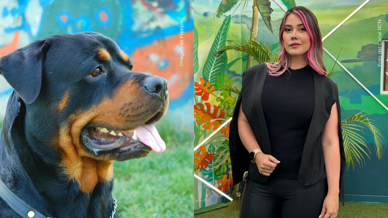 Manuela Gómez vivió “el susto de su vida” por culpa de sus rottweiler