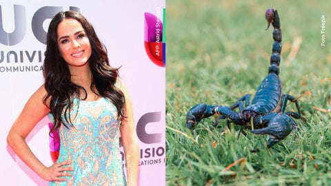 Danna García vivió susto con escorpión