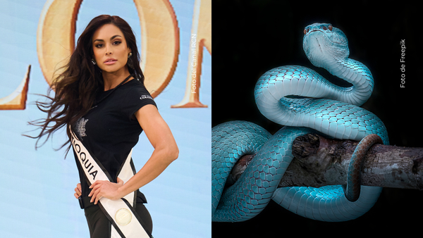 Vanessa Pulgarín atrapa en Miss Universo con su vestido de serpiente: así se ve el llamativo atuendo Vanessa Pulgarín atrapa en Miss Universo con su vestido de serpiente: así se ve el llamativo atuendo