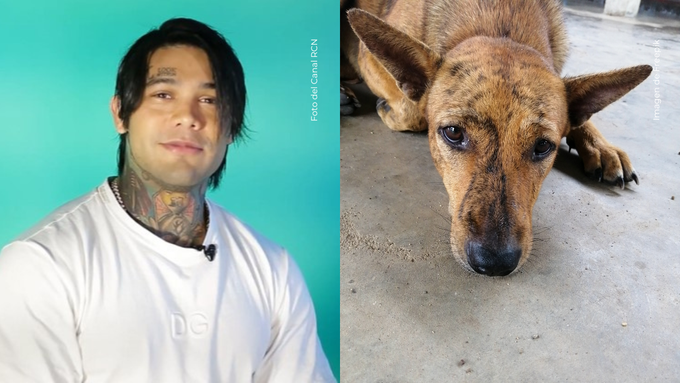 Cossio rescata a un perro en el Amazonas