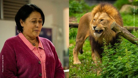 Alina Lozano sorprende con inquietante experiencia con un león y el video causa revuelo