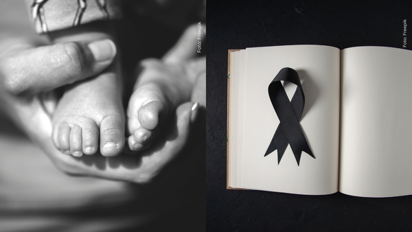 Famosa actriz colombiana se pronunció tras la pérdida de sus bebés: “Hicimos lo posible” Famosa actriz colombiana se pronunció tras la pérdida de sus bebés: “Hicimos lo posible”