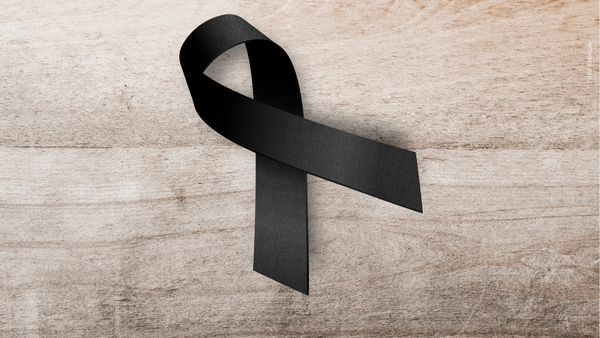 Falleció reconocido actor de Netflix tras caer del techo de su casa: ¿quién fue?