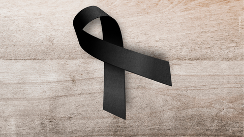 Falleció reconocido actor de Netflix tras caer del techo de su casa: ¿quién fue?