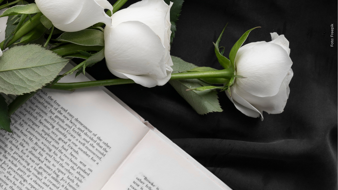 Falleció reconocido actor de Netflix tras caer del techo de su casa: ¿quién fue?