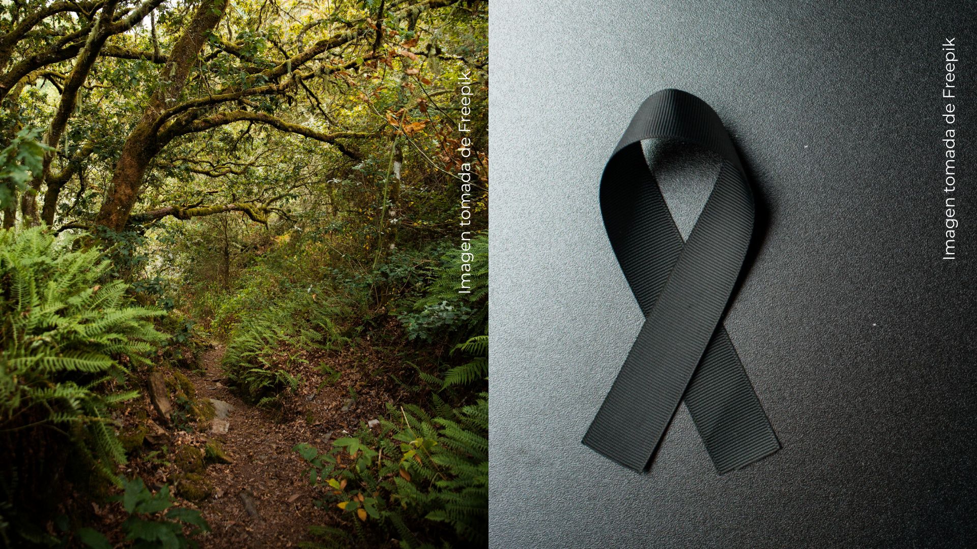 Muere influencer de belleza a sus 31 años tras días desaparecida e investigaciones señalan a exnovio.