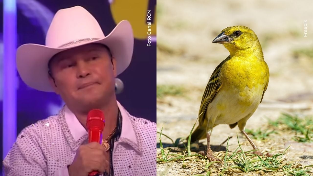 Hija de Giovanny Ayala se sinceró sobre señal que recibió