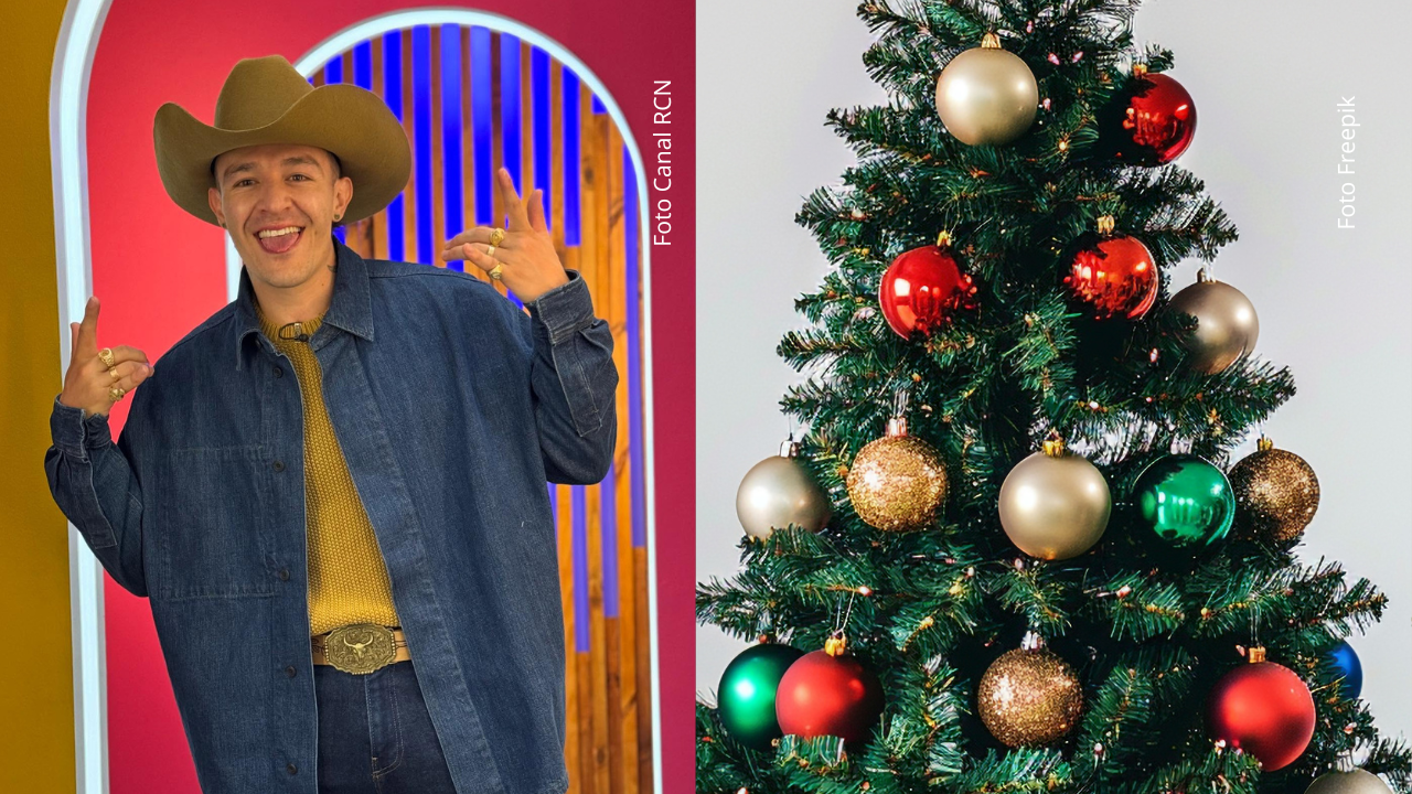 Luis Alfonso mostró su arbolito navideño a través de sus historias.