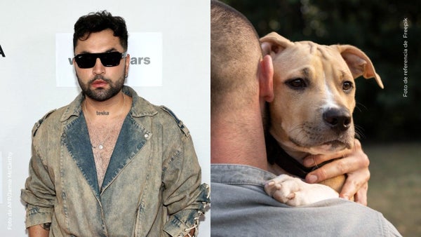 Camilo Triana se mostró conmovido con el apoyo que recibió su perro tras superar el cáncer