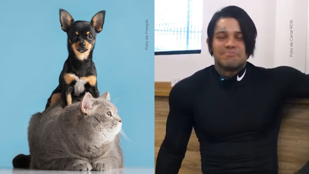 Yeferson Cossio genera opiniones divididas entre sus seguidores. 