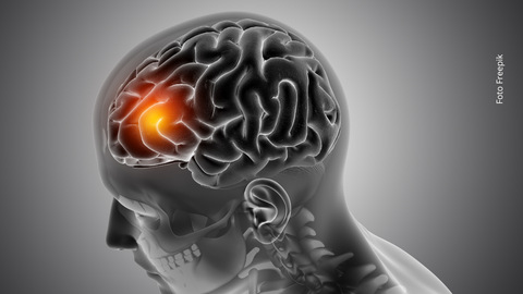 ¿Dolores de cabeza, irritabilidad o problemas de equilibrio? Estos síntomas podrían ser más importantes de lo que crees.