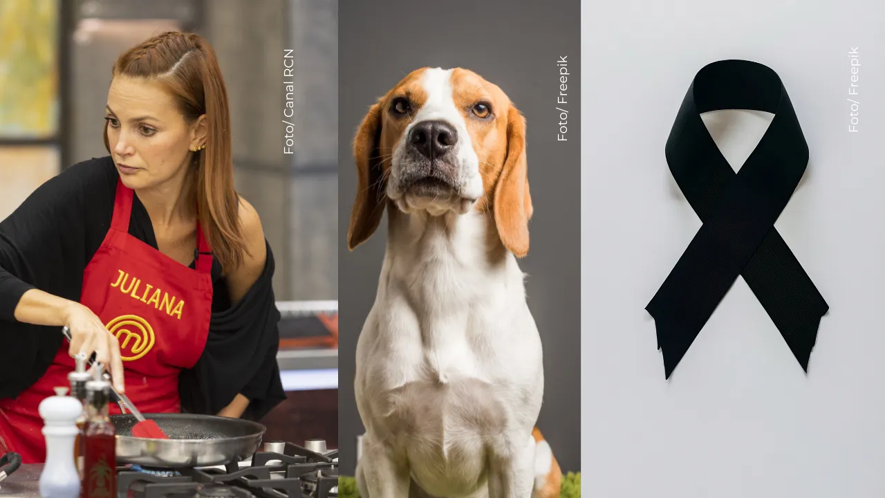 Juliana Galvis mostró que el duelo por una mascota es real