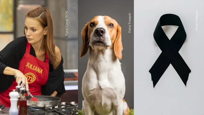 Juliana Galvis mostró que el duelo por una mascota es real