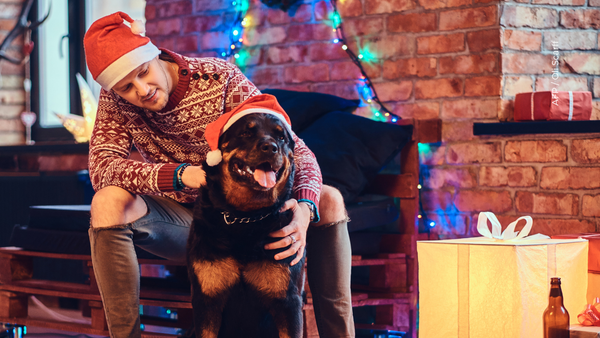 ¿Cómo proteger a tus mascotas de los fuegos artificiales en Navidad y Año Nuevo? Te explicamos ¿Cómo proteger a tus mascotas de los fuegos artificiales en Navidad y Año Nuevo? Te explicamos