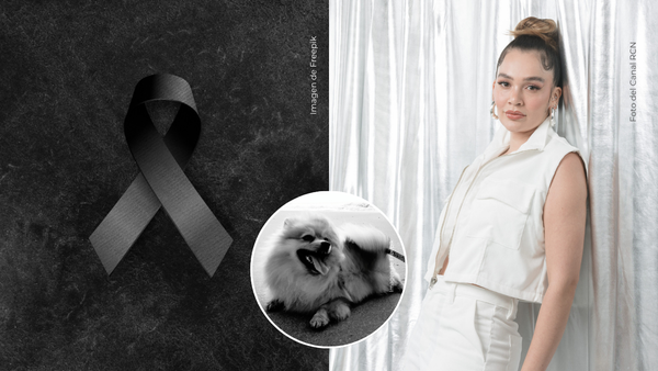 Lina Tejeiro está de luto: así recordó a su perro tras fallecer por una dura enfermedad Lina Tejeiro está de luto: así recordó a su perro tras fallecer por una dura enfermedad