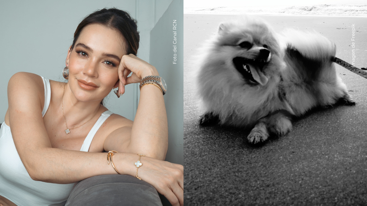 Fallece perro de Lina Tejeiro