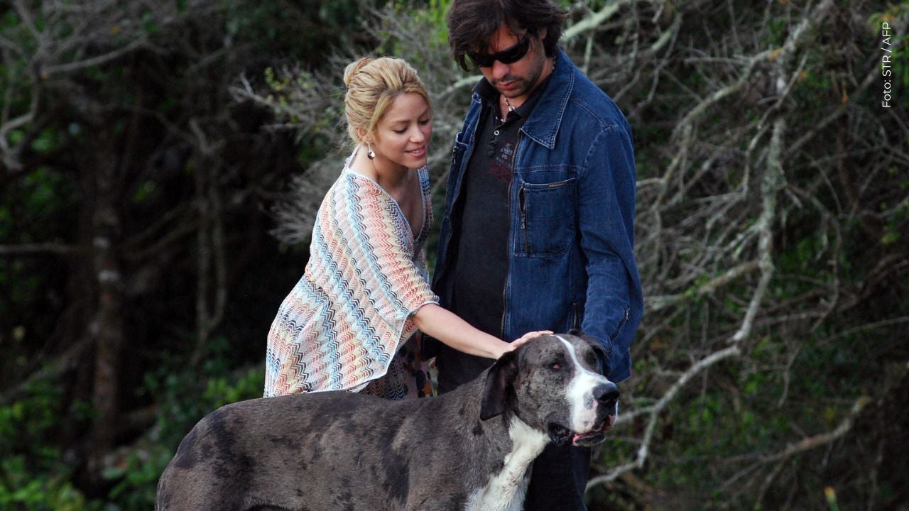 Shakira aviva rumores de romance con Antonio de la Rúa tras un mensaje en pleno show