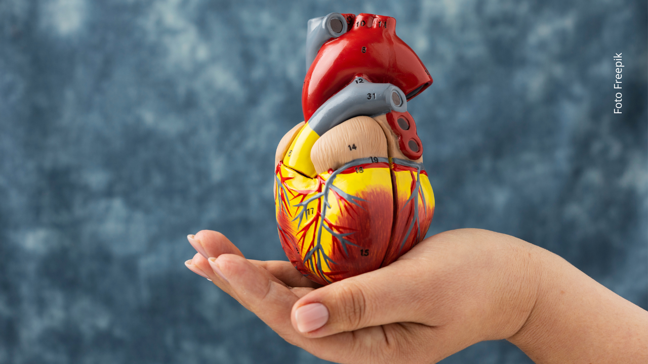 Un estudio analizó datos de más de 2.000 pacientes que sufrieron infartos.