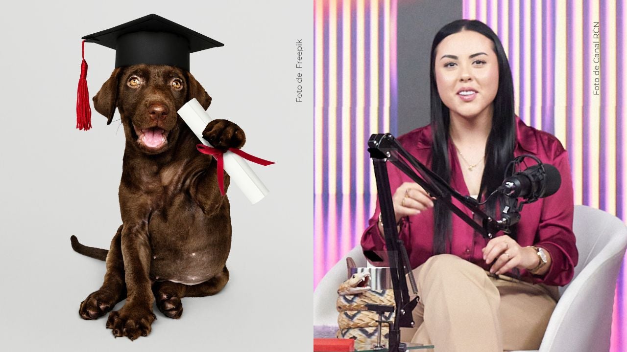 Apolo recibió una mención especial en el colegio.