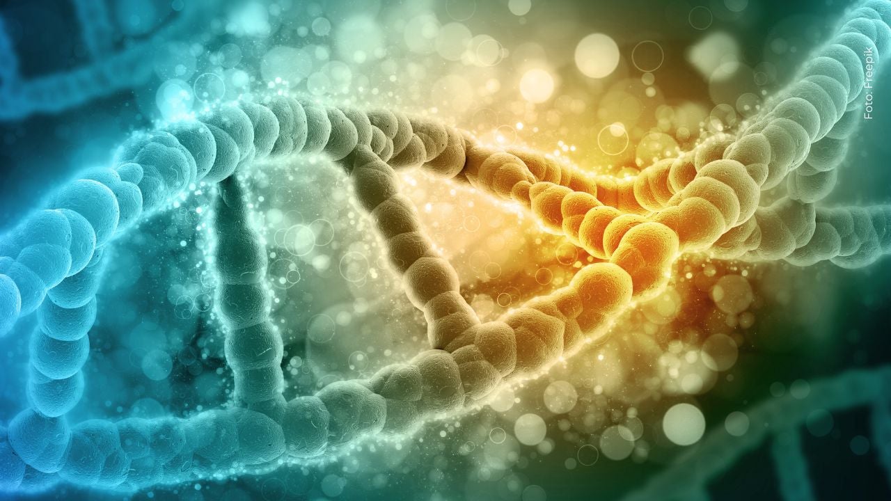 Esclerosis Lateral Amiotrófica