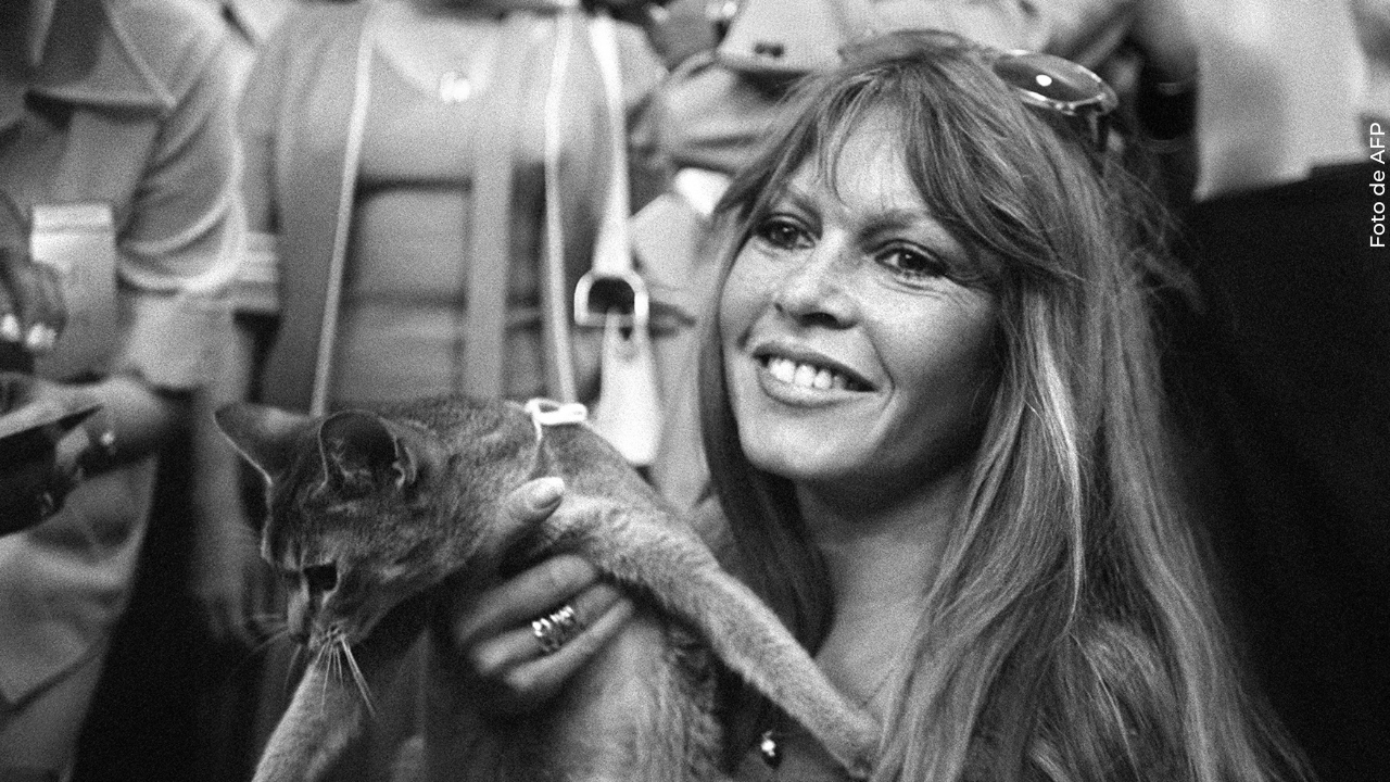 Brigitte Bardot activismo
