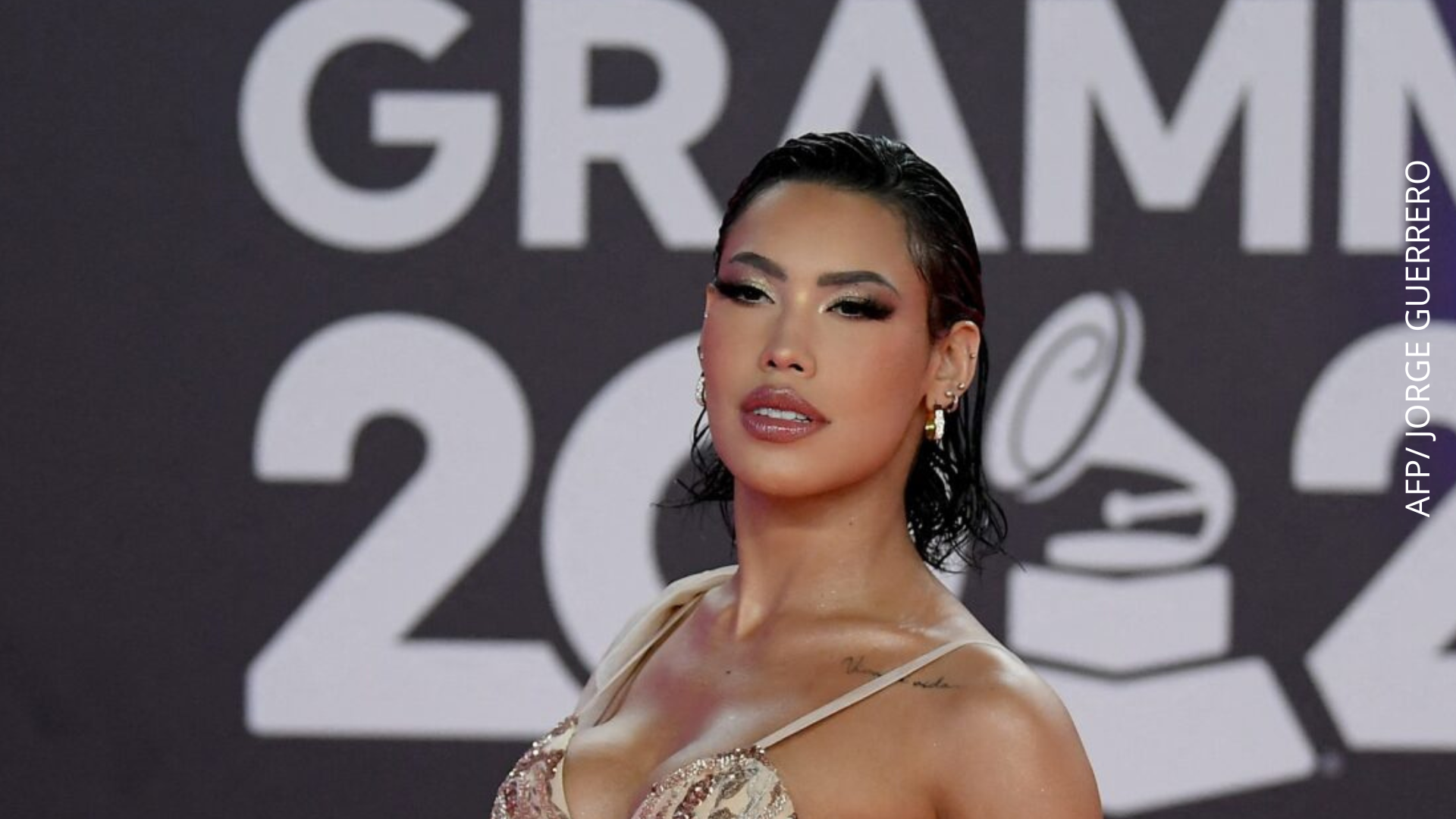 Ana del Castillo sufrió acoso en pleno concierto por parte de un fanático