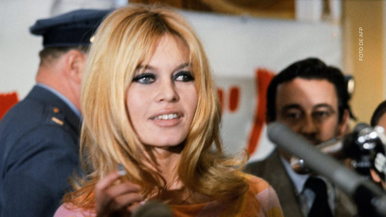 ¿Qué hizo Brigitte Bardot durante los últimos años?