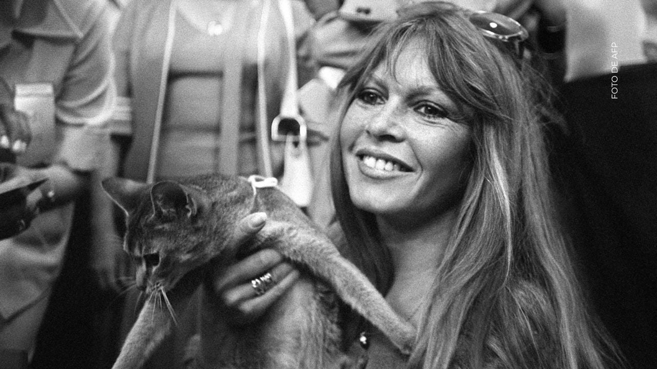 ¿Cómo recuerdan la carrera de Brigitte Bardot?