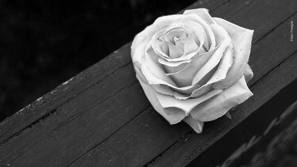 Hija de Felipe Arias, presentador de Noticias RCN, se viste de luto tras lamentable pérdida