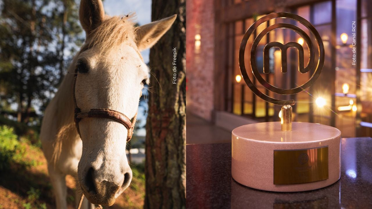 Exparticipante de MasterChef emociona.