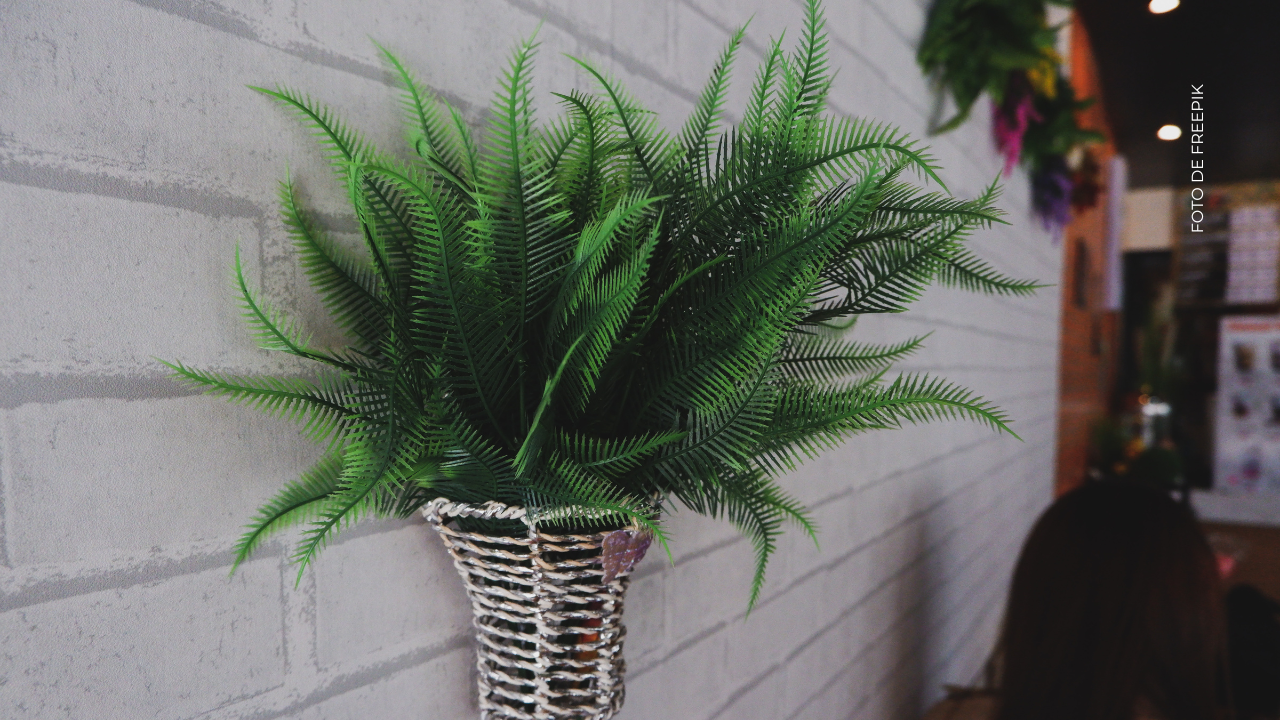 ¿Qué otros elementos encontró Cintia Cossio?