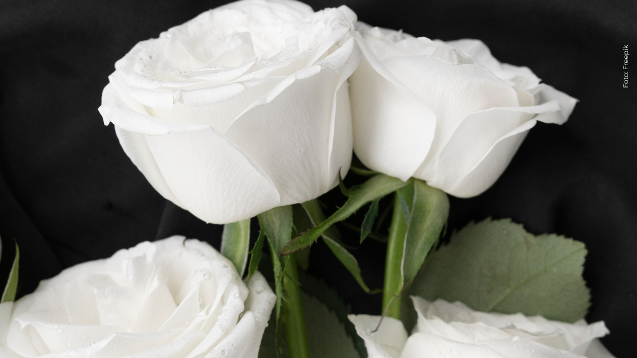 ¡Duelo en la televisión! Murió reconocido actor tras batalla contra un cáncer poco común