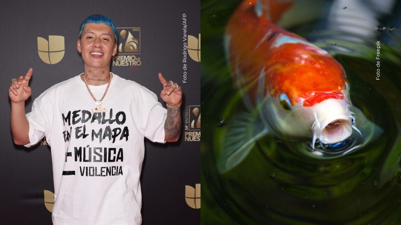 Blessd sorprende a sus seguidores.