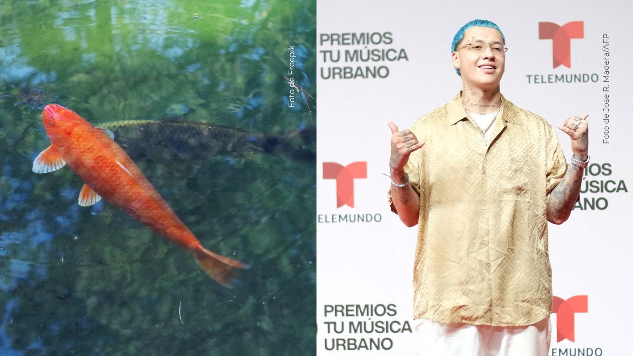 Blessd genera revuelo. 