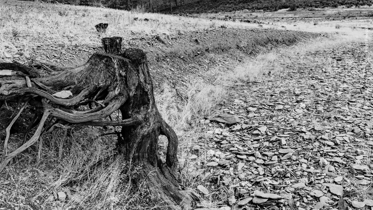 Así luce en la actualidad el lugar del accidente de Yeison Jiménez en una avioneta: ¿cómo quedó?