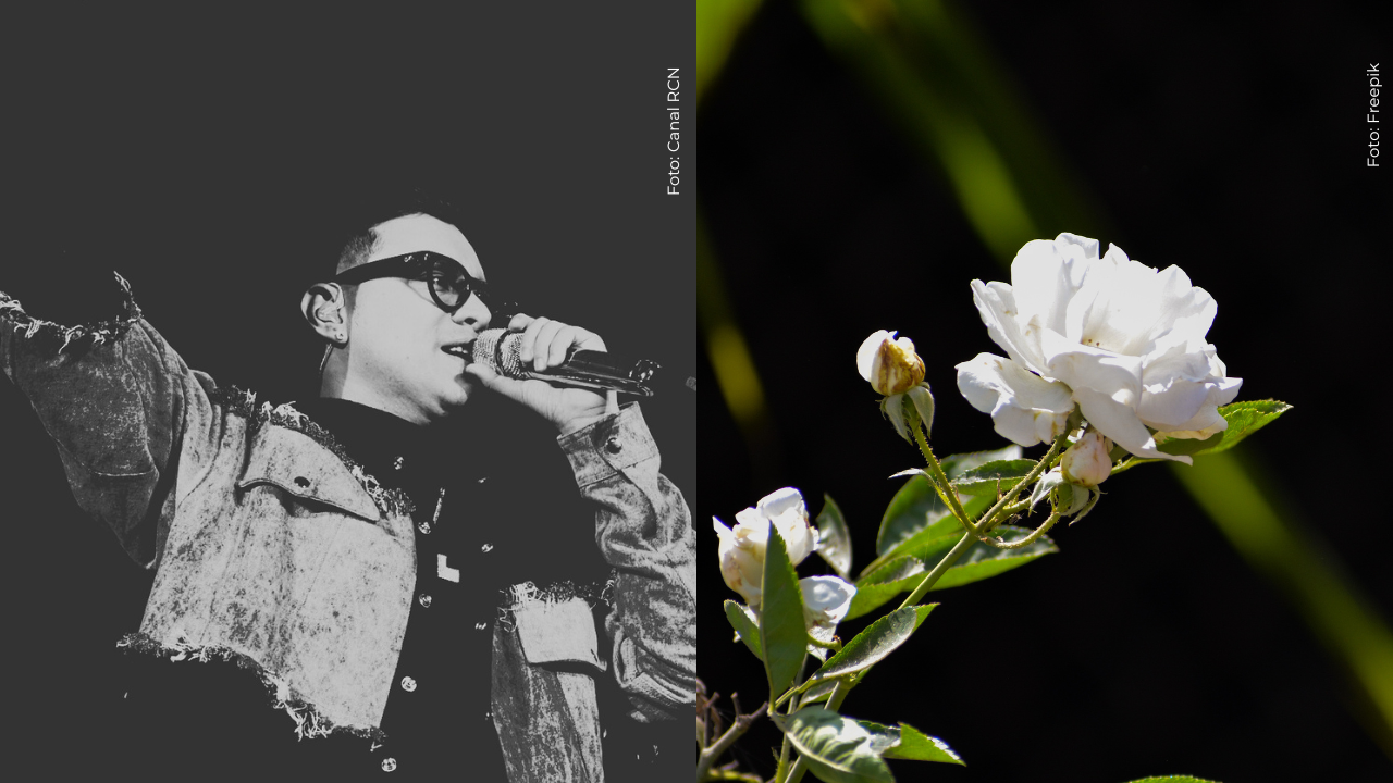 Paola Jara y Jessi Uribe despidieron a Yeison Jiménez en el Movistar Arena con sentidas palabras