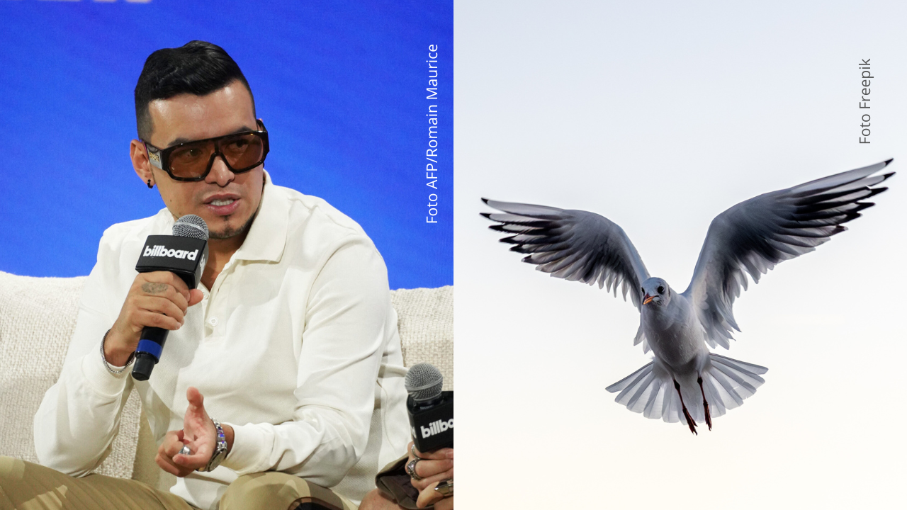 Sebastián Ayala compartió el video del momento a través de su cuenta oficial de Instagram.