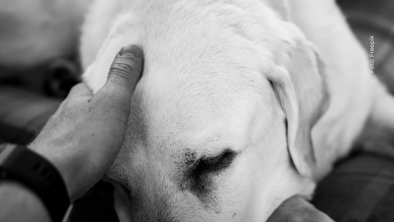 Nataly Umaña reveló caso que generó indignación