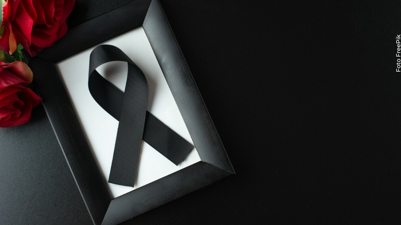 Blake Garrett ganó reconocimiento por su participación en How to eat fried worms. 