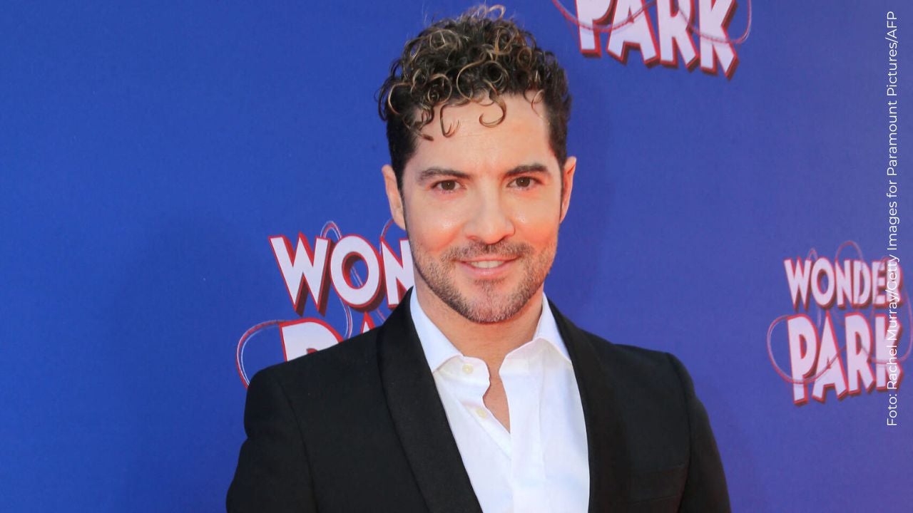 David Bisbal, cantante español