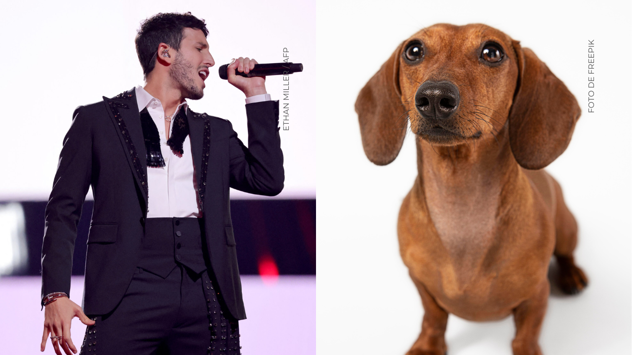 ¿Qué dijo Sebastián Yatra sobre su mascota?