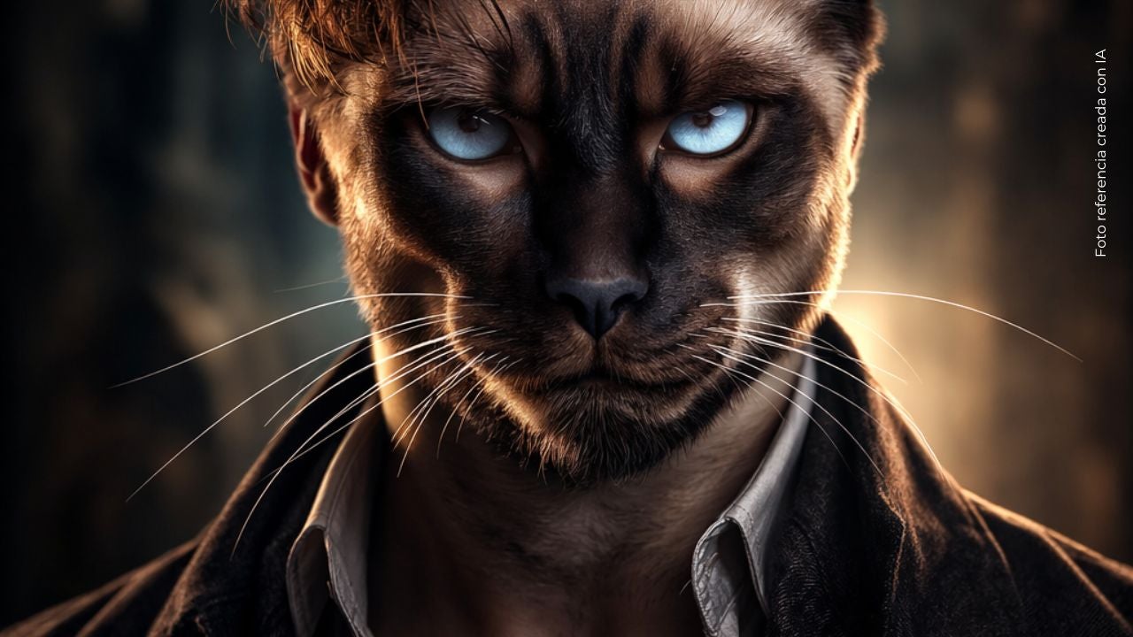 Actor revela que ahora se siente un gato siamés