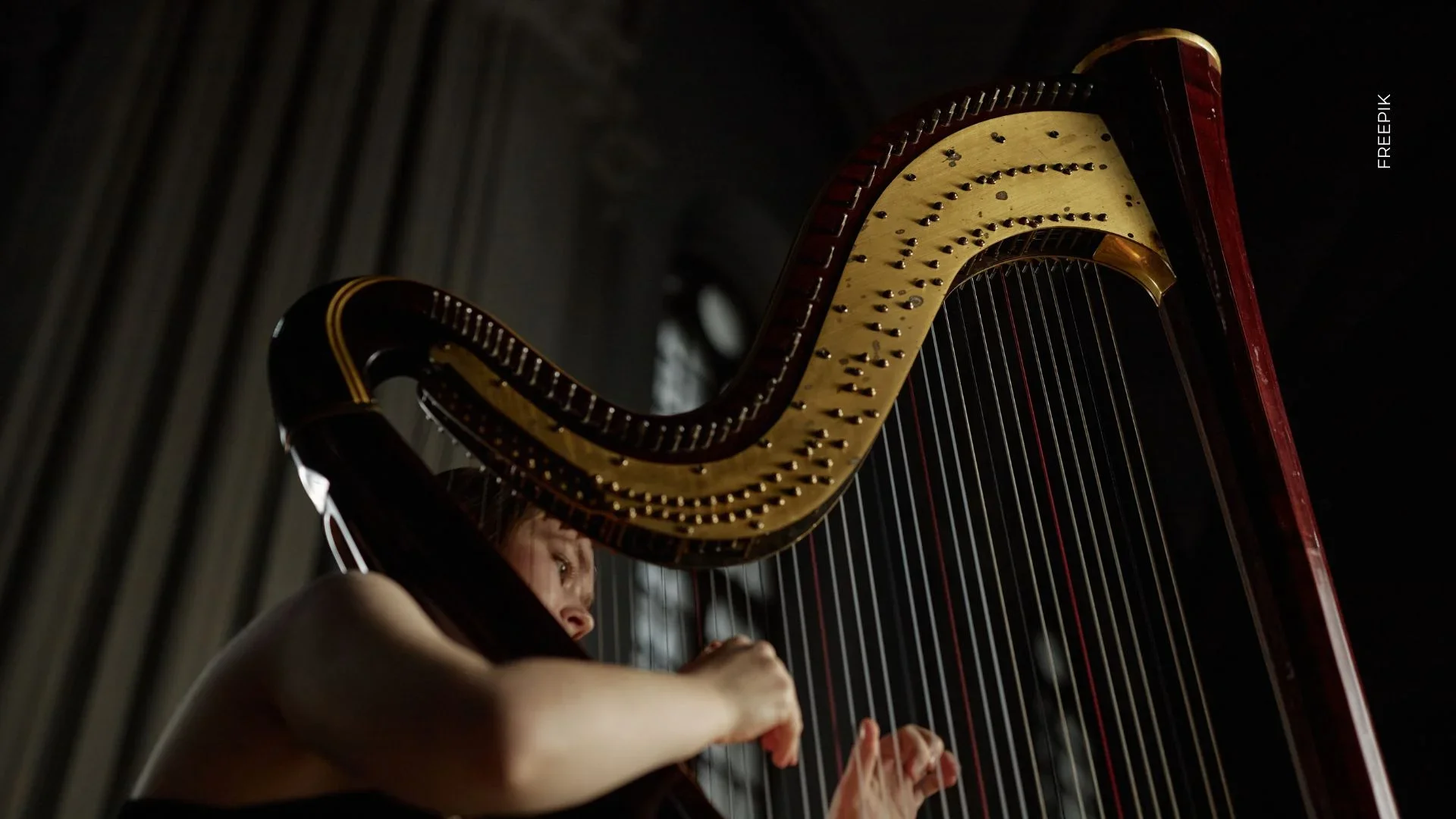 "Voces del Joropo", un evento que promete llevar la cultura llanera a Bogotá