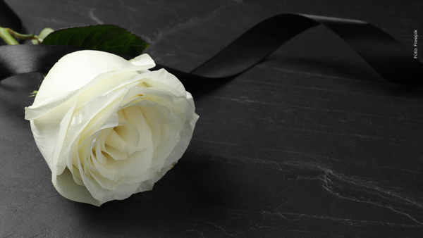 ¡Adiós a un actor! La televisión se viste de luto tras confirmarse lamentable pérdida ¡Adiós a un actor! La televisión se viste de luto tras confirmarse lamentable pérdida